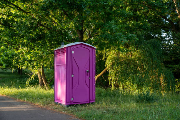 Best Eco-Friendly Portable Toilets  in Plum Grove, TX